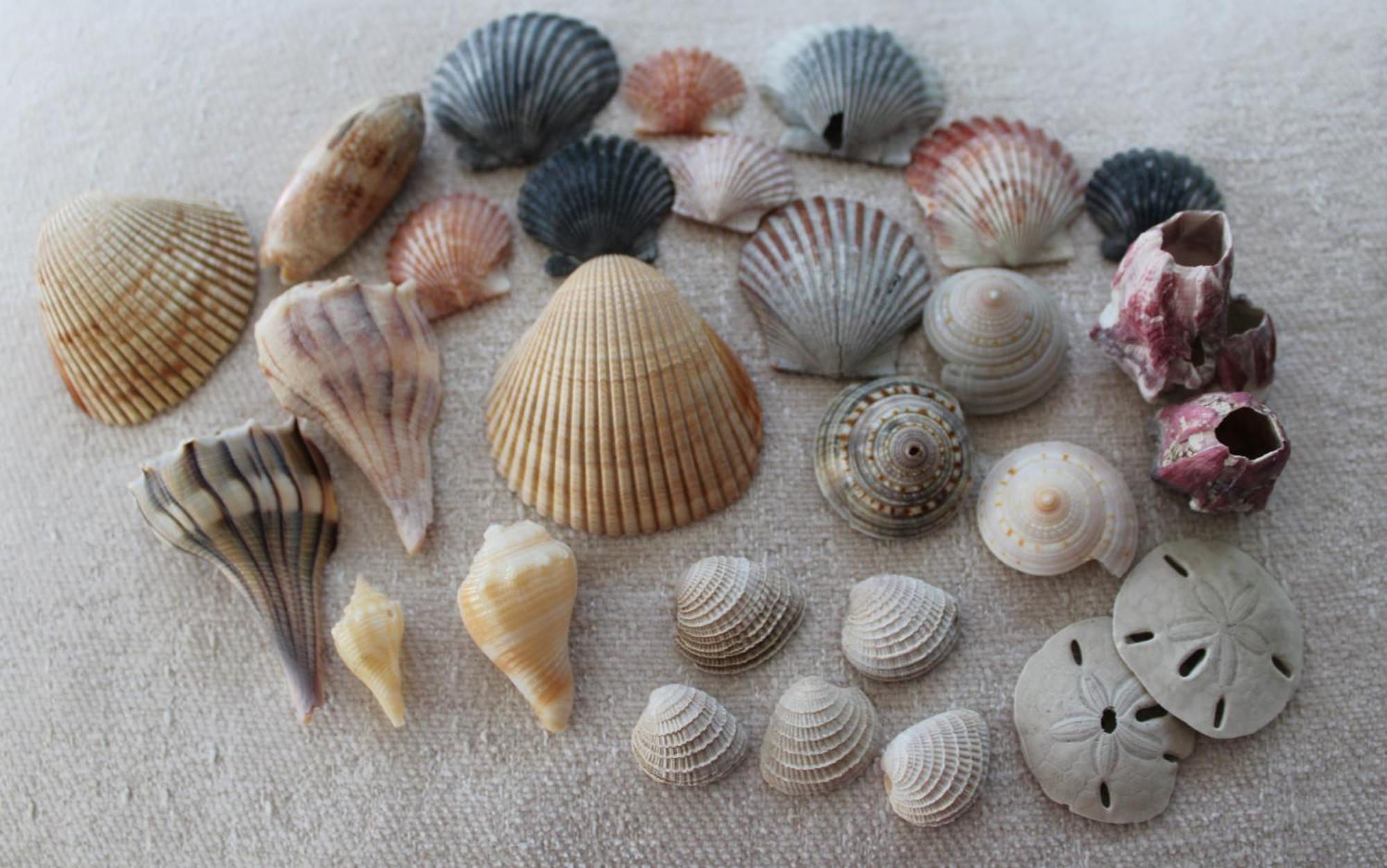 Beach Glass - Island Getaway Corpus Christi Esterno foto